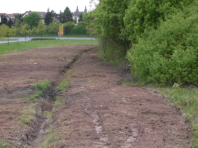 Forstflächenbearbeitung und Restholzaufarbeitung in Oberzent